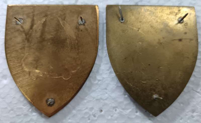 SADF - Army Gymnasium Shoulder Flash Pair