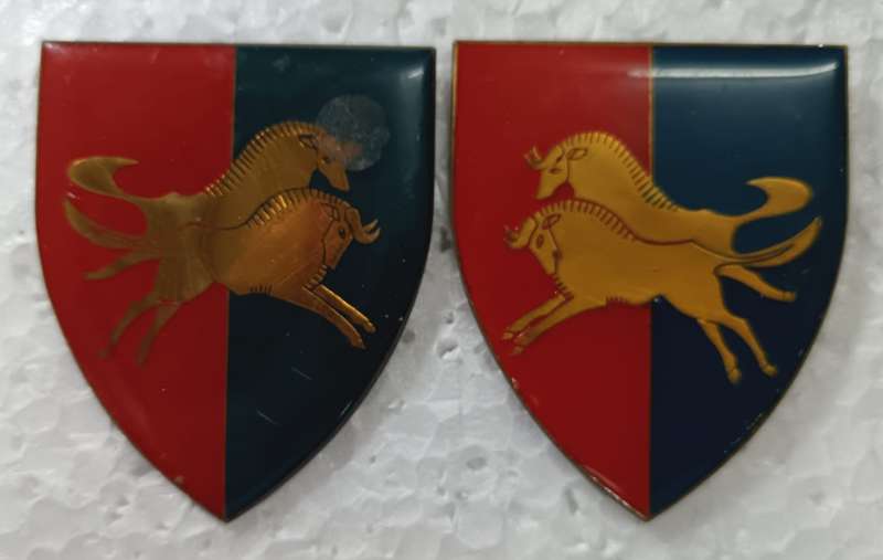 SADF - Natal Command Workshop Shoulder Flash Pair