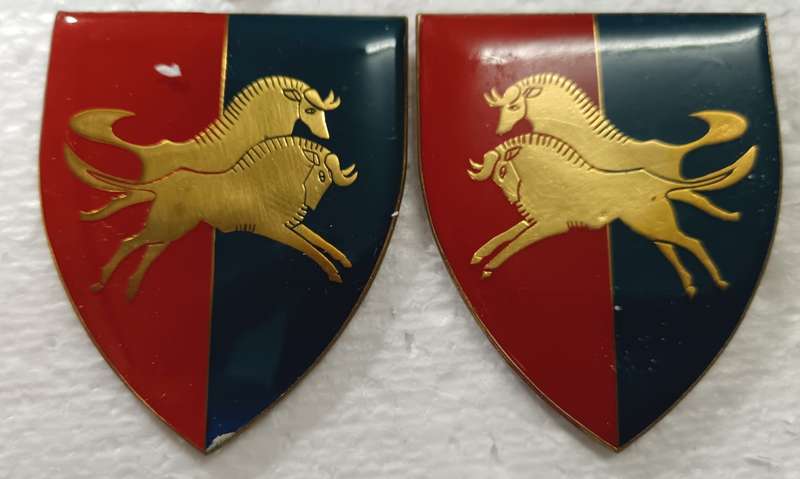 SADF - Natal Command Workshop Shoulder Flash Pair