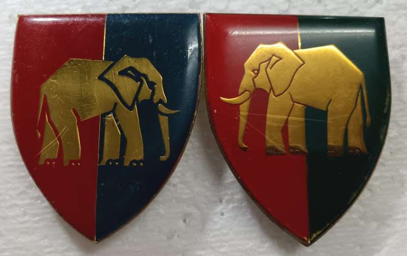 SADF - EP Command Workshop Shoulder Flash Pair