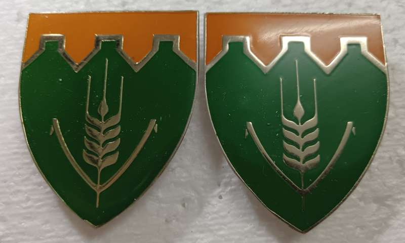 SADF - Fouriesburg Commando Shoulder Flash Pair