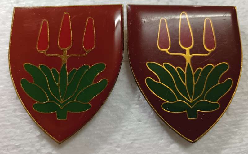 SADF - East London Commando Shoulder Flash Pair
