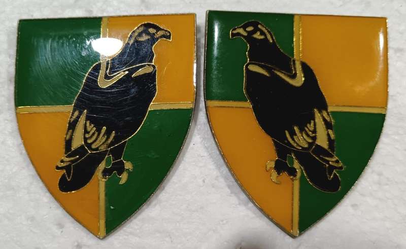 SADF - Group 36 HQ Shoulder Flash Pair