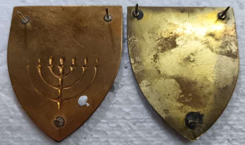 SADF - Regiment Potchefstroom Universiteit Shoulder Flash Pair
