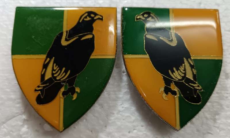 SADF - Group 36HQ Shoulder Flash Pair