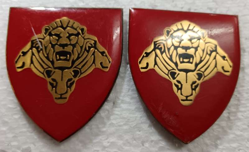 SANDF - Pride of the Nation Shoulder Flash Pair