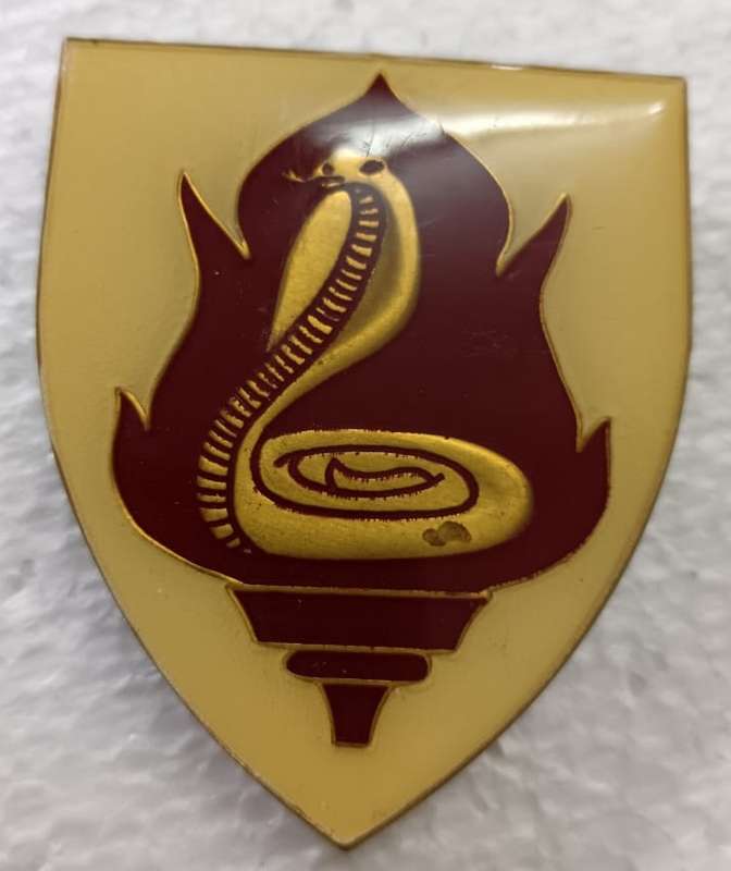 SADF - SAMS College Shoulder Flash
