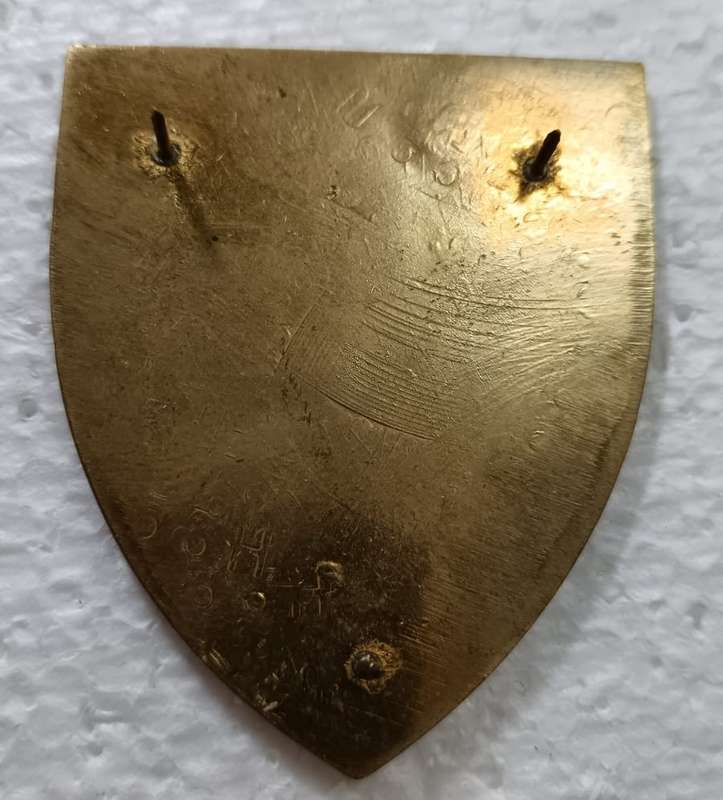 SADF - Womans College Shoulder Flash