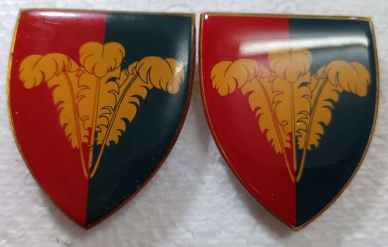 SADF - Southern Cape Workshop Shoulder Flash Pair