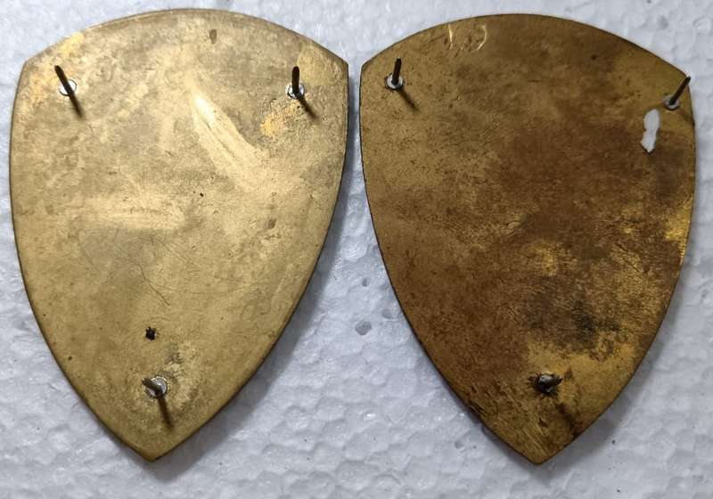 SADF - 19 Field Ambulance Shoulder Flash Pair