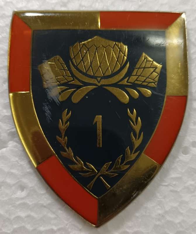 SADF - 1 Special Services Battalion Shoulder Flash