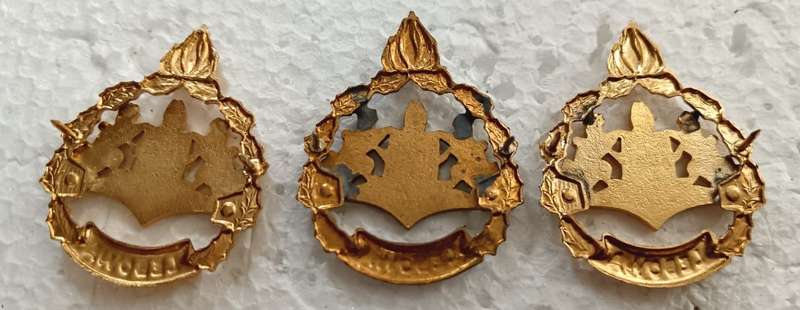 (Homelands) Lebowa Warrant Officer Ranks