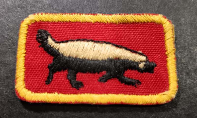 SADF - 1 SWA Specialist Unit Instructors Tracker Breast Badge