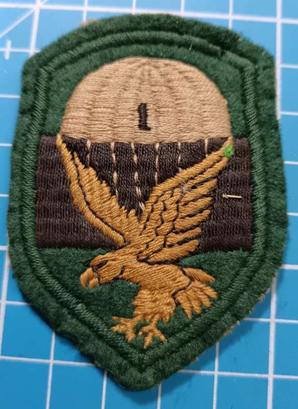 SADF - 1 Parachute Battalion Shoulder Flash