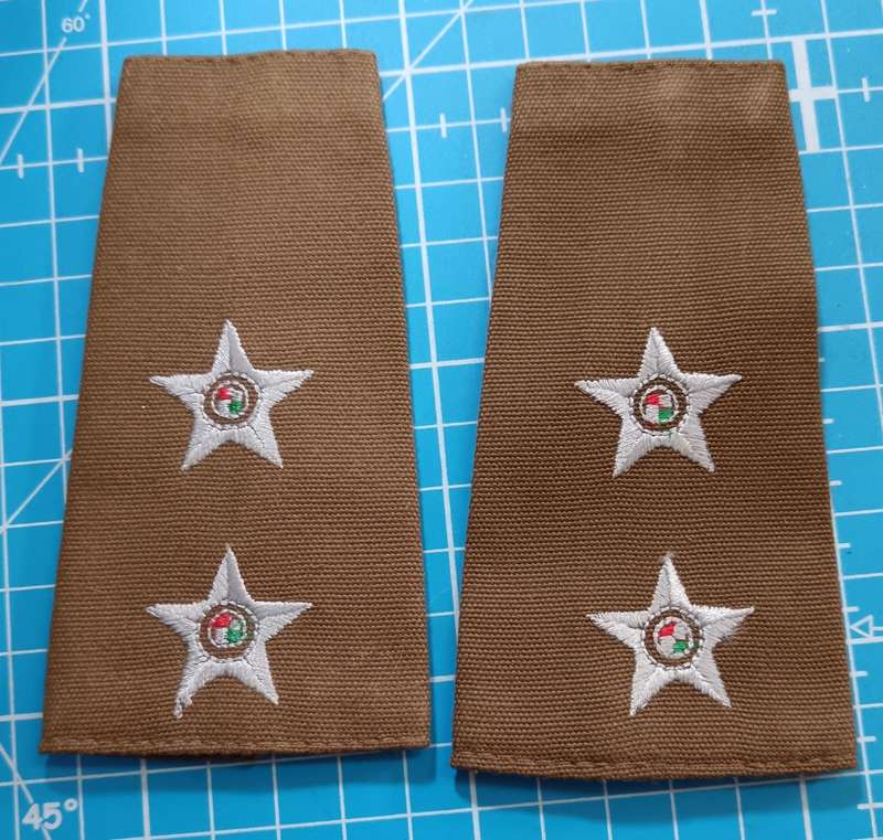 SANDF - Slip on Ranks