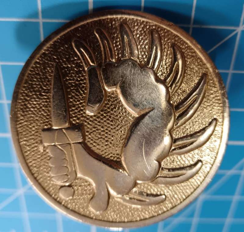 South African Coin Security Cap Badge