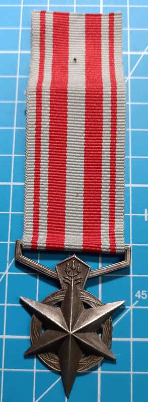 Full Size South African (SAP) Silver Medal for Combating Terrorism: Constable Radue