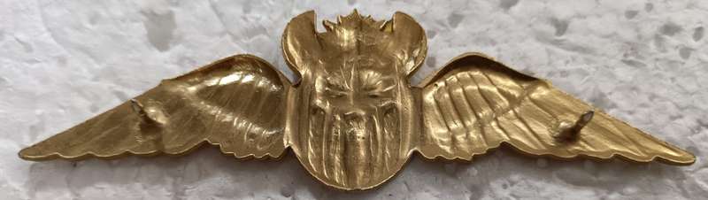 SANDF - Air Force Gold Pilot Wing