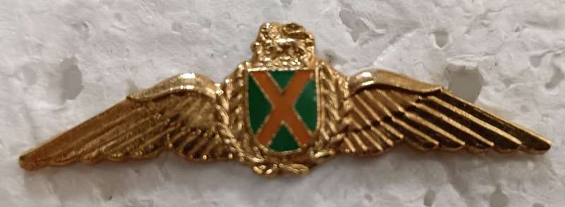 SADF - Air Force Commando Pilots Wing