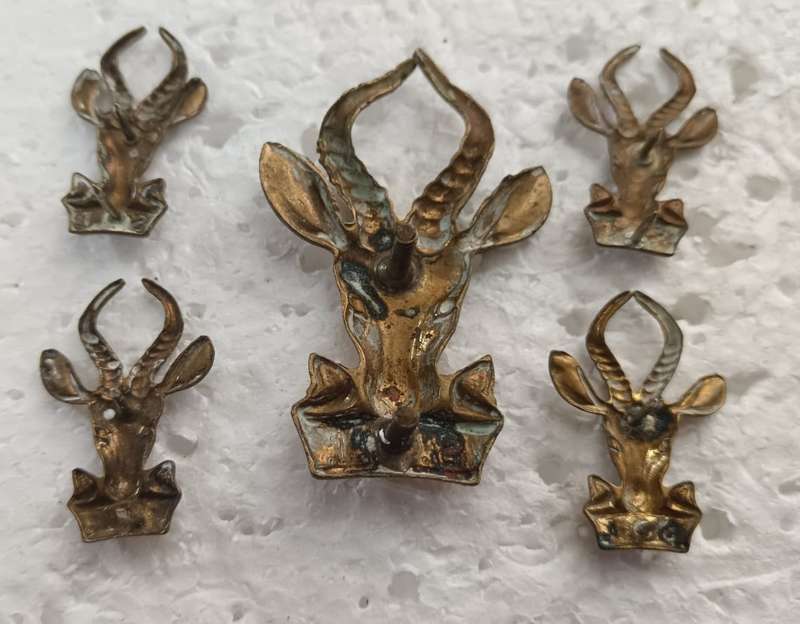 SADF - Infantry Cap and Collars