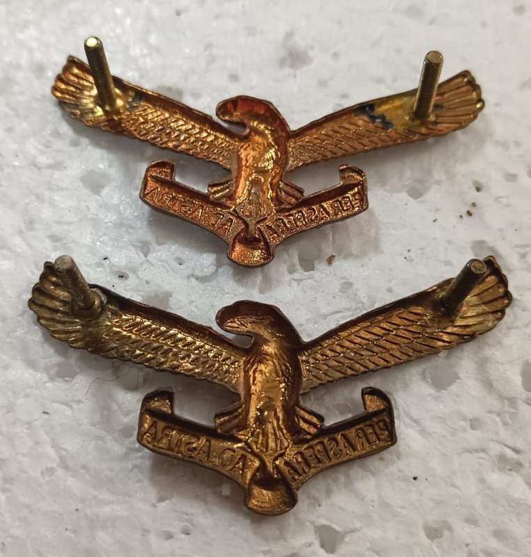 SADF - Air Force Collars ( Not Facing )