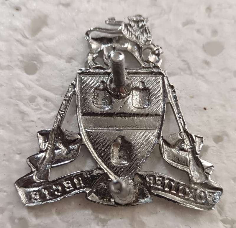 SADF - Johannesburg Regiment Cap Badge