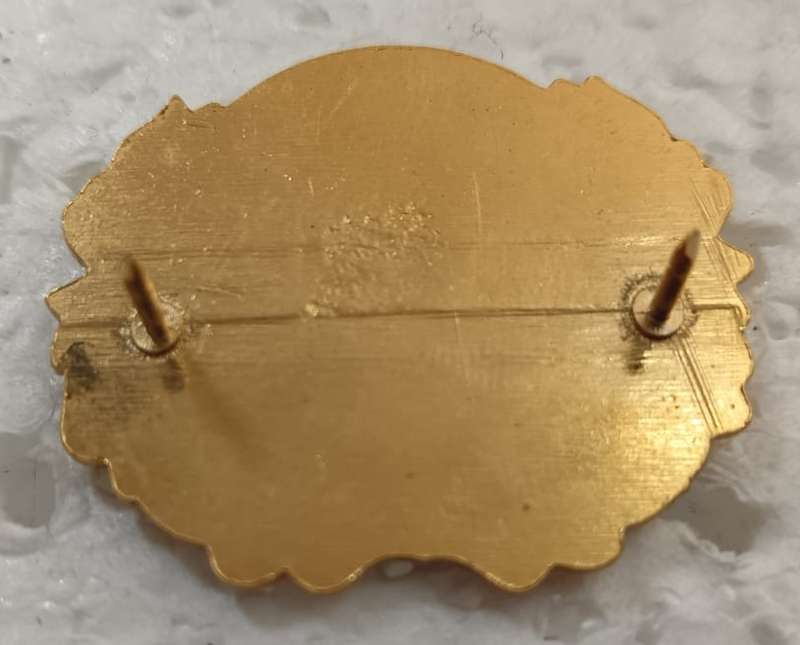 SADF - Air Force Fireman Badge