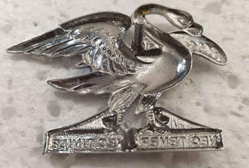 SADF - Regiment Springs Cap Badge