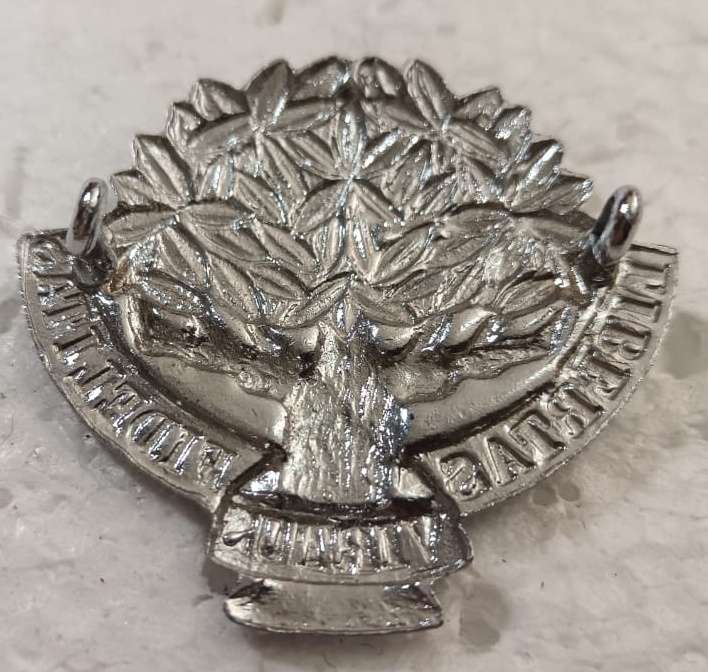 SADF - Regiment Free State Cap Badge