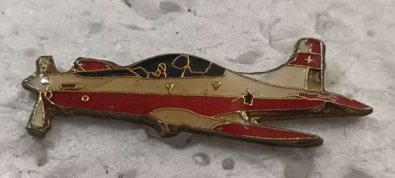 SADF - SAAF Air Force Pin Badge