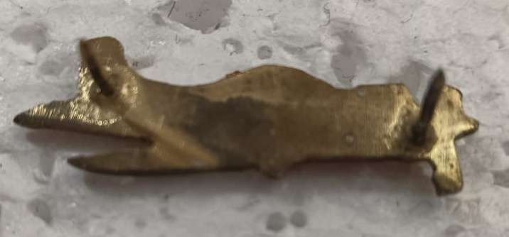 SADF - SAAF Air Force Pin Badge