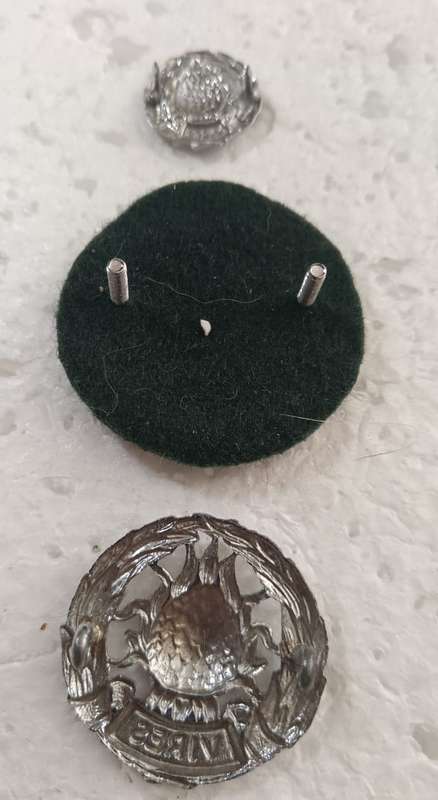 SADF - Regiment Boland Badge Lot