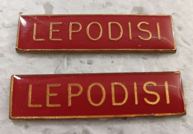 (Homelands) Bop Police Title Badges