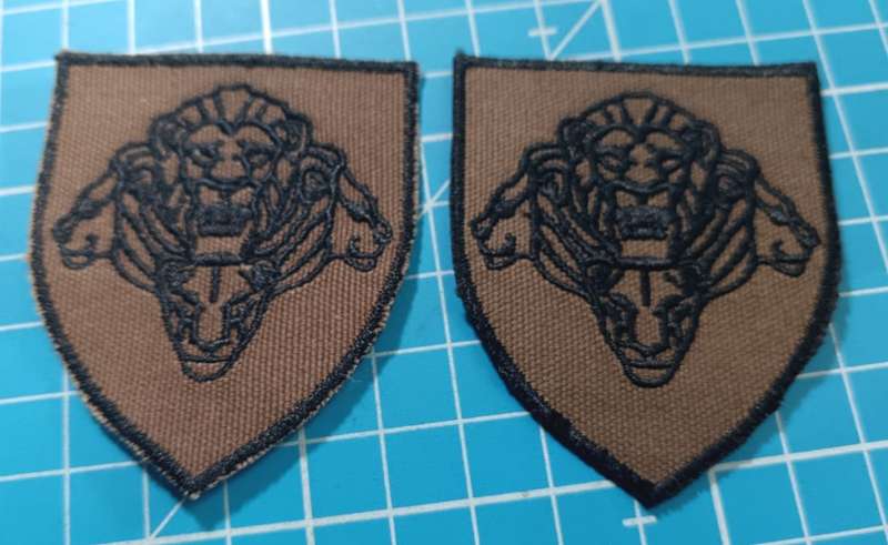 SANDF - Army Shoulder Flashes