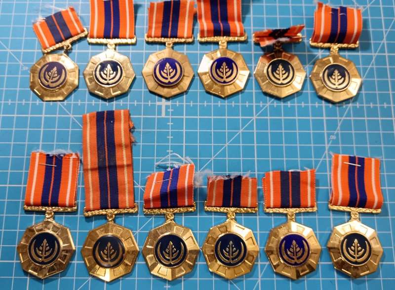 SADF - Full Size Pro Patria Medals - 12 Available