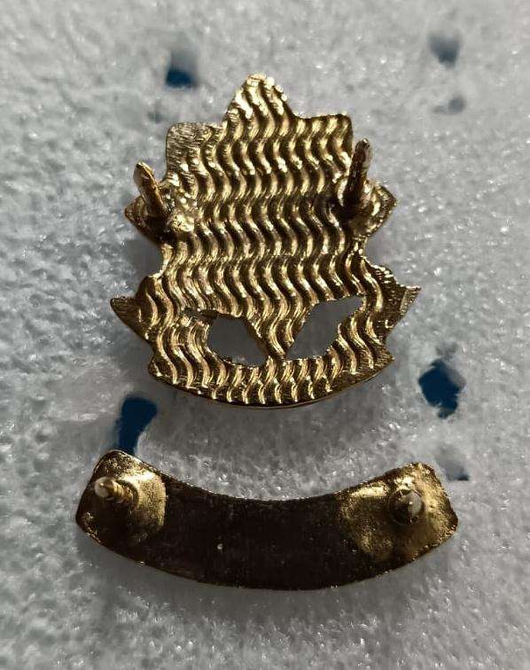 Vintage South African Police Pin Badge