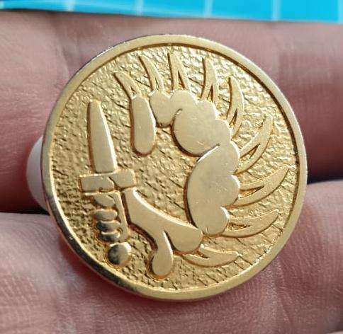 South African Coin Security Cap Badge