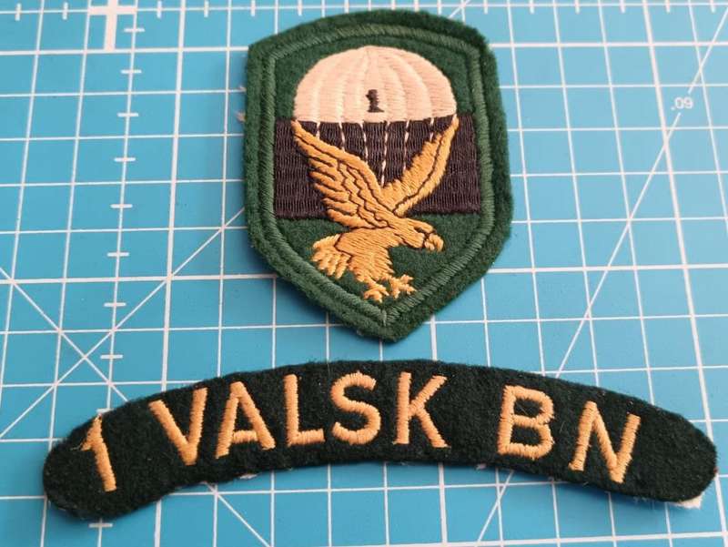 SADF - 1 Parachute Battalion Cloth Shoulder Flash and Title - Excellent Condition