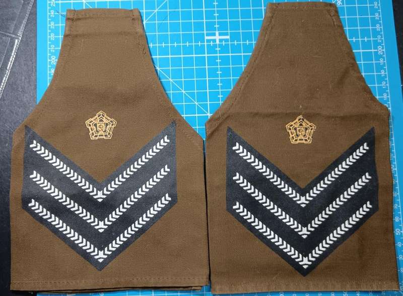 SADF - Rank Brassards