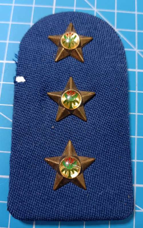 SAP Rank Badge