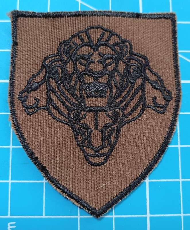 SANDF - Shoulder Flash