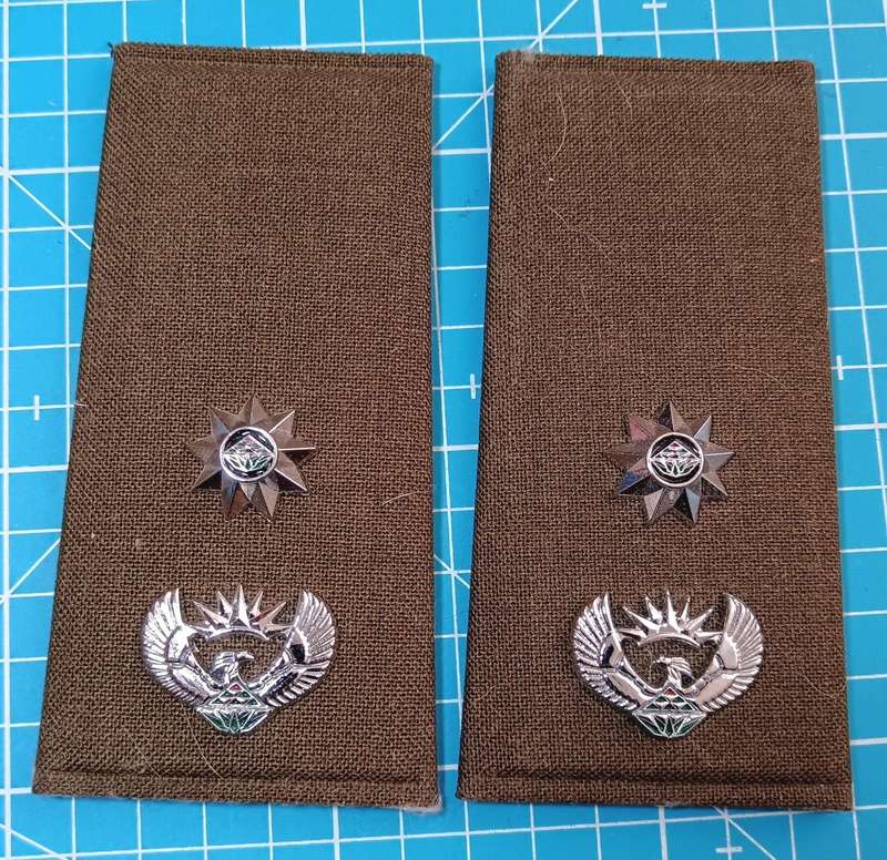SANDF - Slip on Ranks