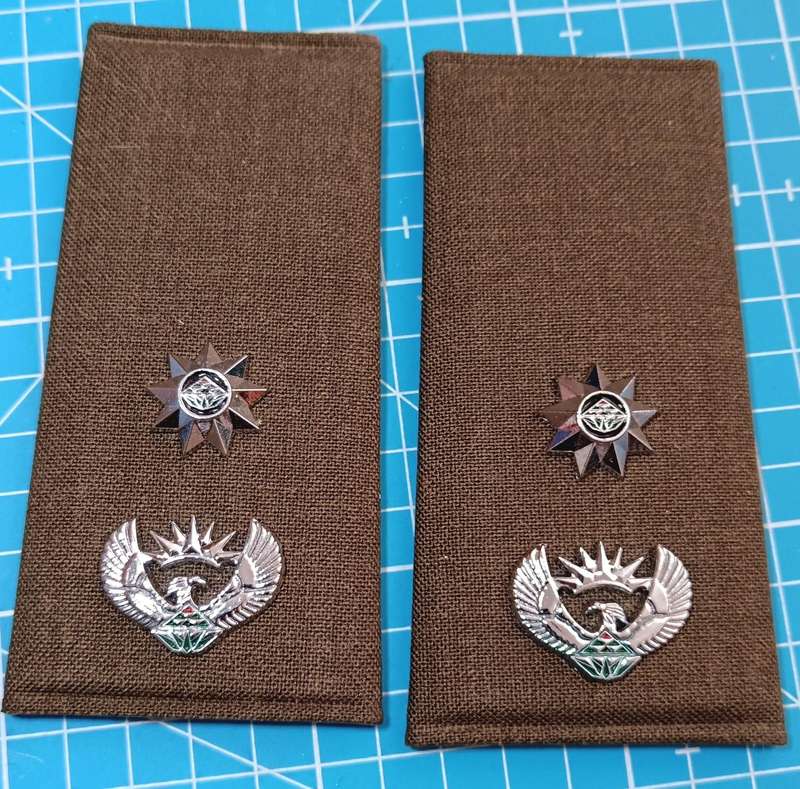 SANDF - Slip on Ranks