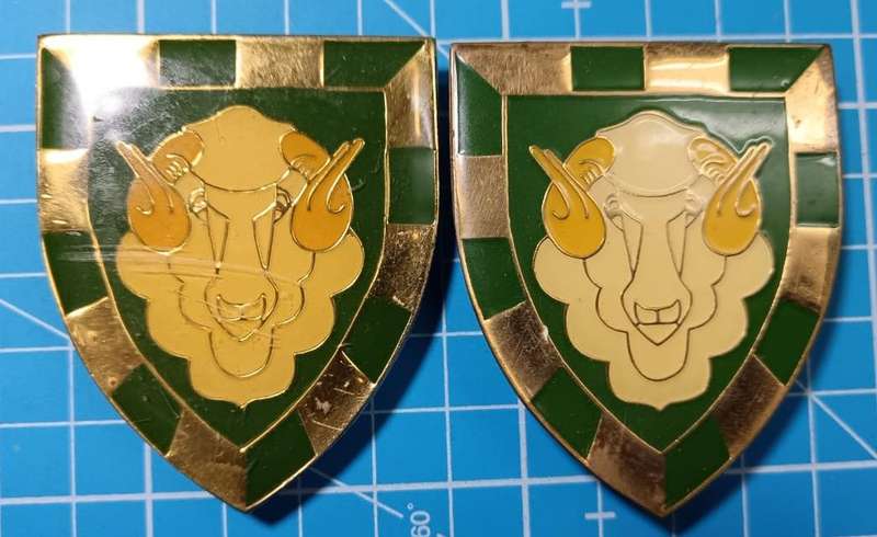 SADF - Regiment Groot Karoo Shoulder Flashes