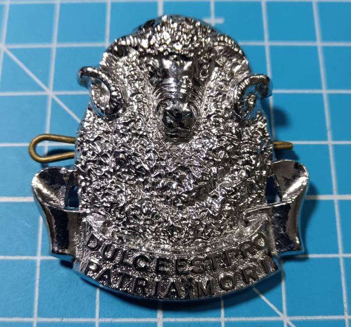 SADF - Regiment Groot Karoo Cap Badge