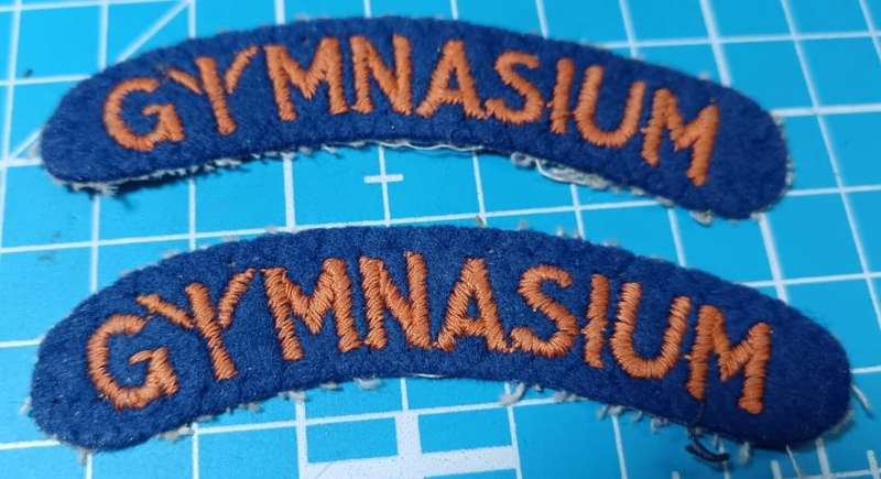 SADF - Army Gymnasium Shoulder Titles