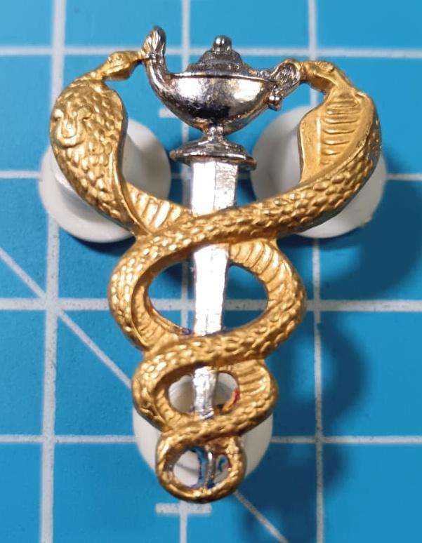SADF - Medical Services Nursing Sister Breast Badge