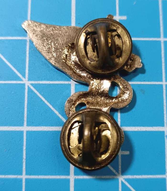 SADF - Medical Services Ops Medic Breast Badge
