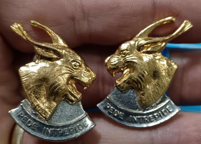 SADF - Regiment Pretorius Collars