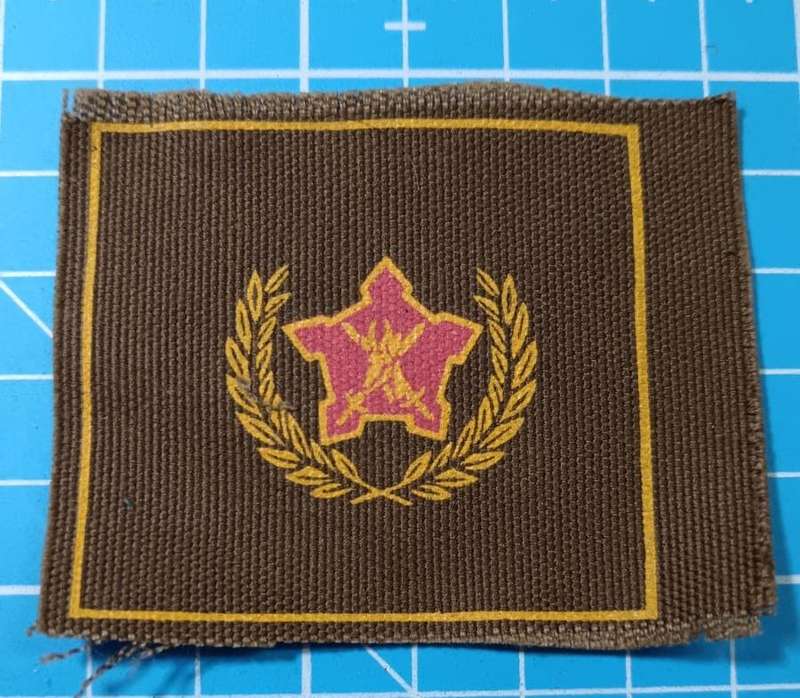 SADF - Army 5 Year Voluntary Service Breast Badge